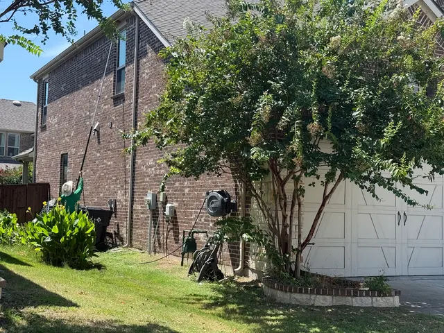 EcoStar Pest Control: Pest Control Services Near Dallas & Carrollton, TX — photo from the business 4