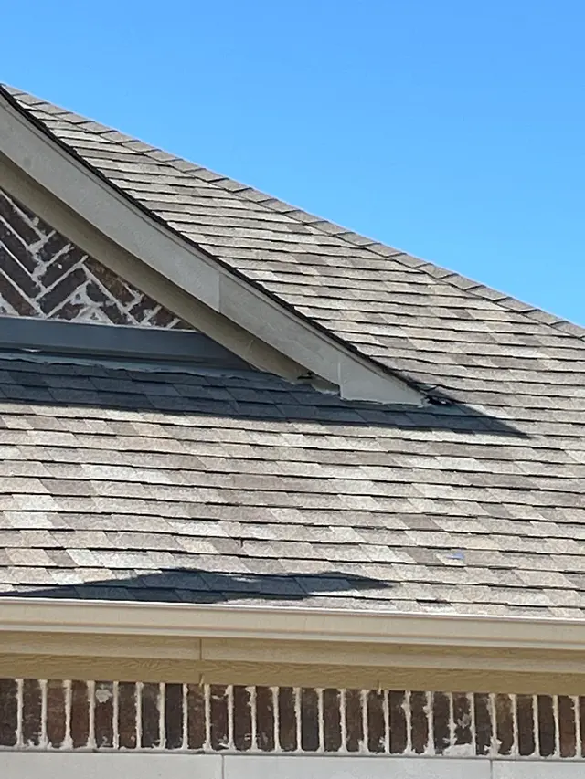Eco-Safe Pest Control — customer photo 7