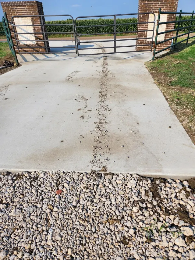 Eco-Safe Pest Control — customer photo 9