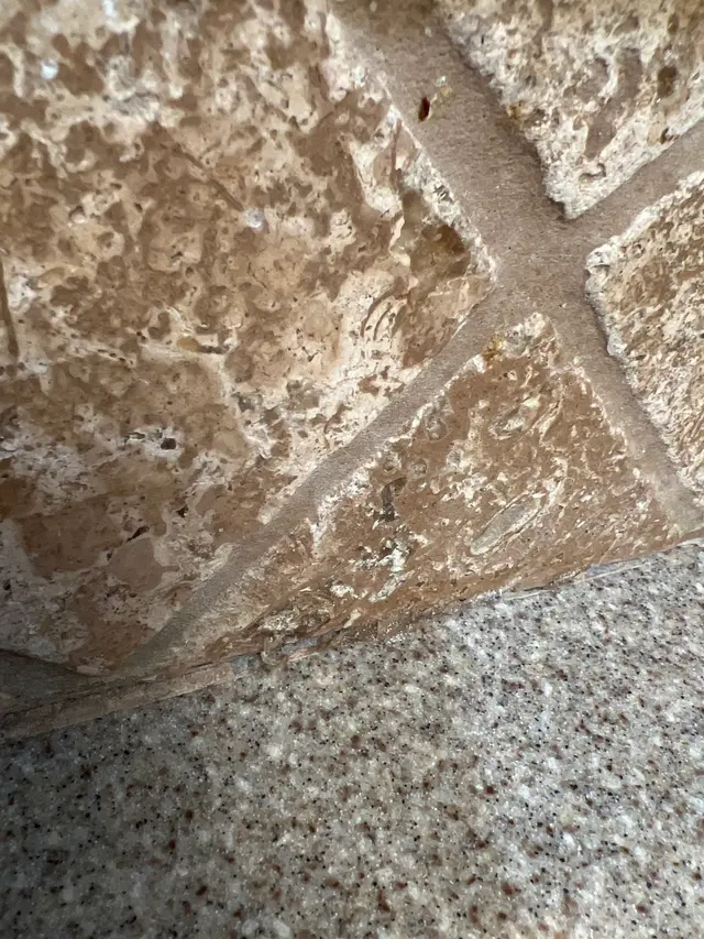 SafeHaven Pest Control — customer photo 10