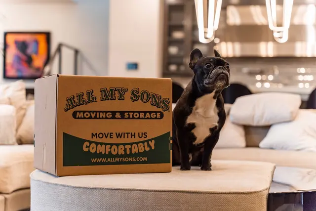 All My Sons Moving & Storage — photo from the business 10