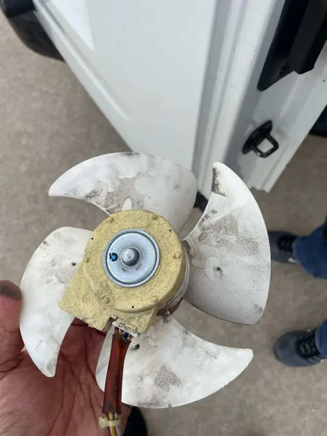 Action Appliance Repair — photo from the business 6