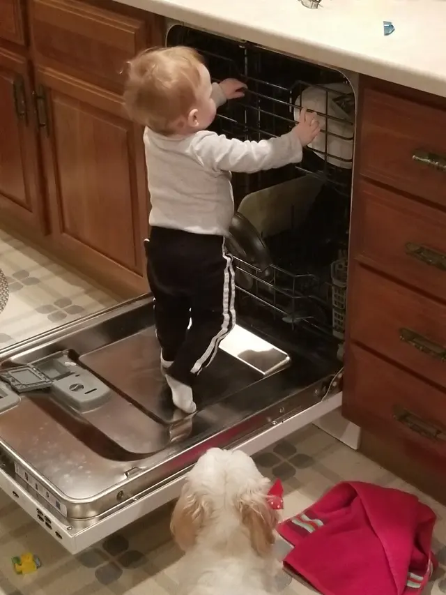 Appliance Rescue Service — photo from the business 1