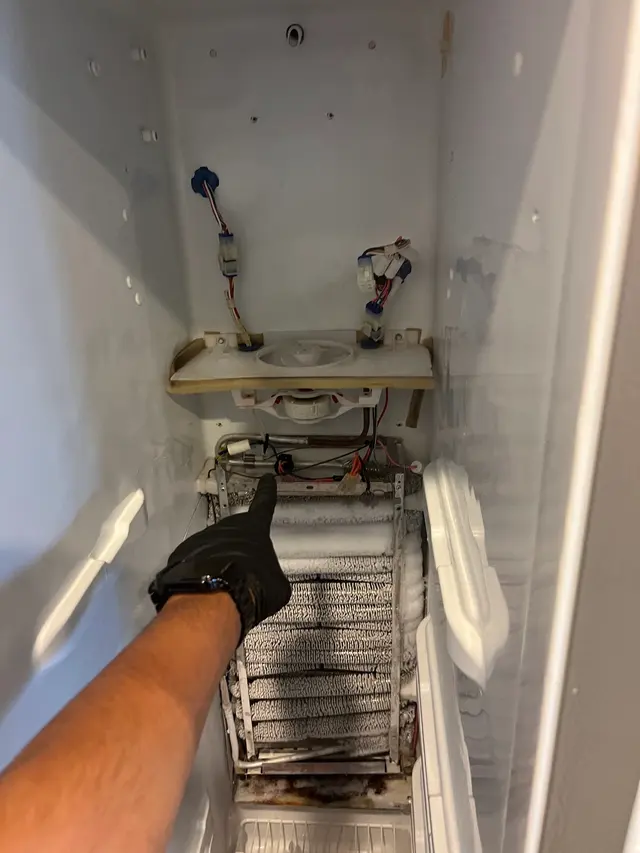 Action Appliance — photo from the business 9