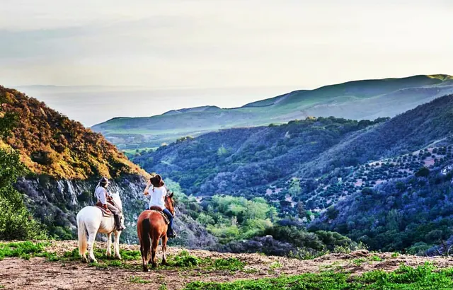 Circle Bar B Horseback Riding Stables — photo from the business 2