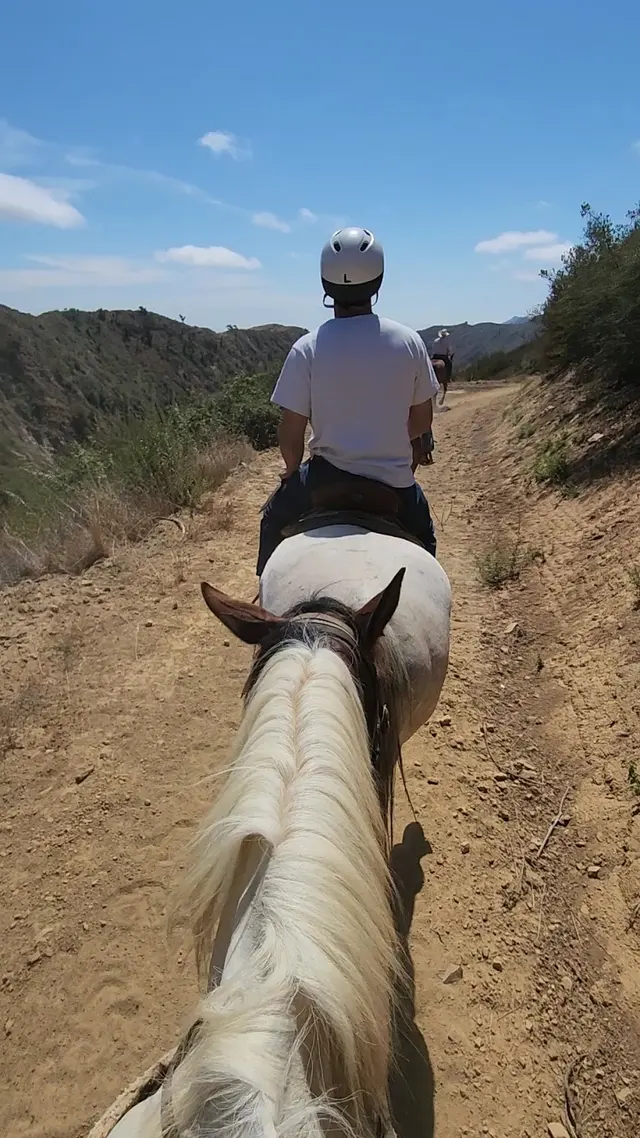 Circle Bar B Horseback Riding Stables — customer photo 11
