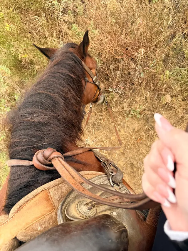 Circle Bar B Guest Ranch & Stables, Lodging and Events — customer photo 8