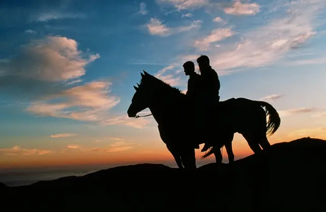 Circle Bar B Guest Ranch & Stables, Lodging and Events — photo from the business 3