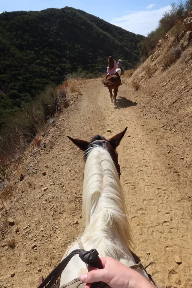 Circle Bar B Guest Ranch & Stables, Lodging and Events — customer photo 4