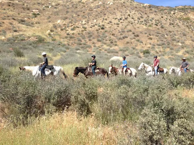 Los Padres Outfitters — photo from the business 2