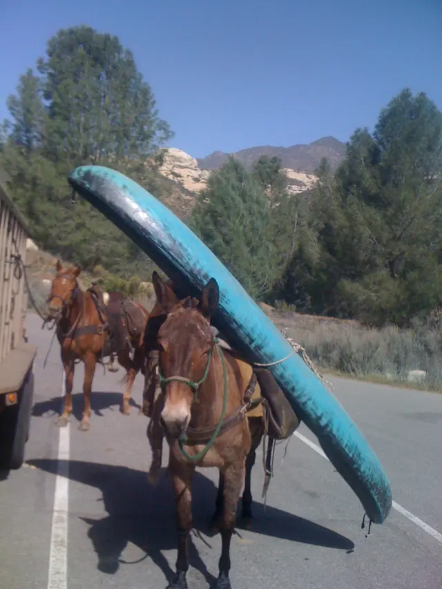 Los Padres Outfitters — photo from the business 7