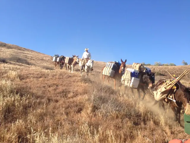 Los Padres Outfitters — photo from the business 9