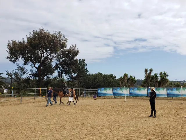 Hearts Therapeutic Equestrian Center — customer photo 7