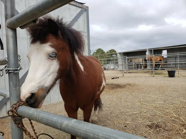 Hearts Therapeutic Equestrian Center — customer photo 10