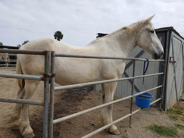 Hearts Therapeutic Equestrian Center — customer photo 6
