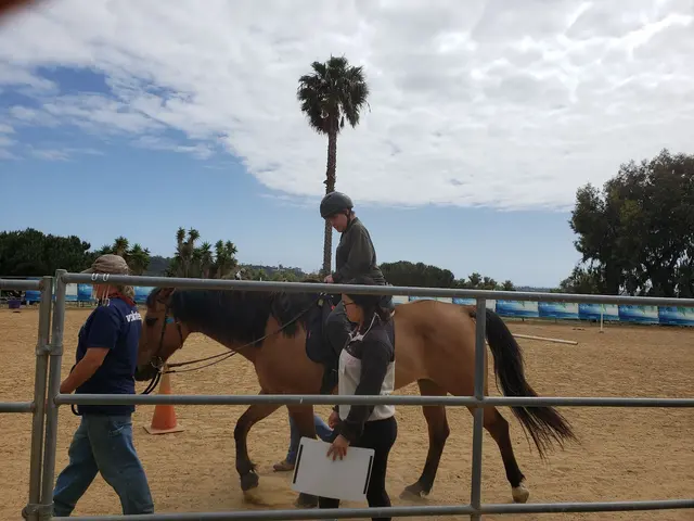 Hearts Therapeutic Equestrian Center — customer photo 9