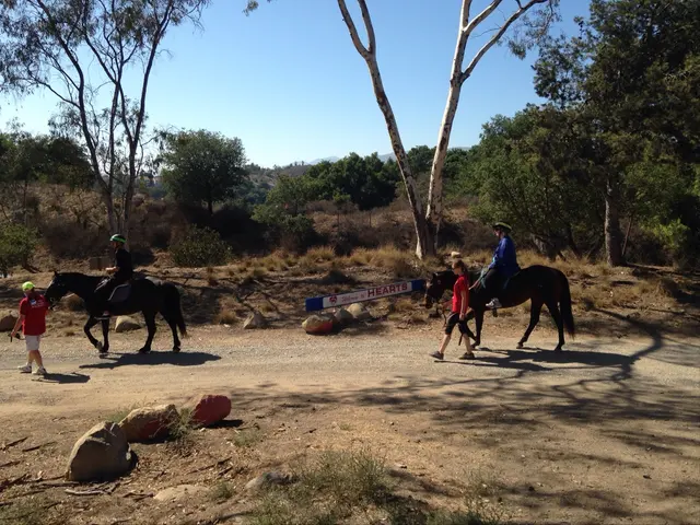 Hearts Therapeutic Equestrian Center — customer photo 3