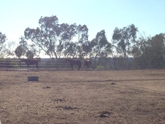Hearts Therapeutic Equestrian Center — customer photo 5