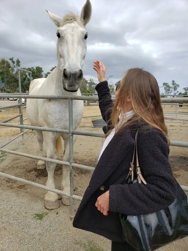 Hearts Therapeutic Equestrian Center — customer photo 4