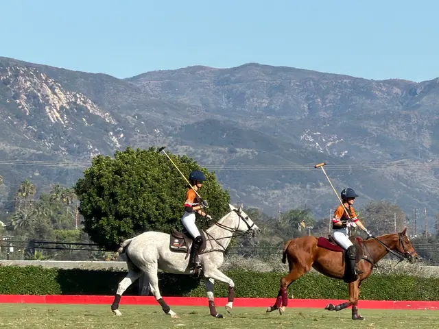 Customer photo of work by Santa Barbara Polo & Racquet Club, from G J's review