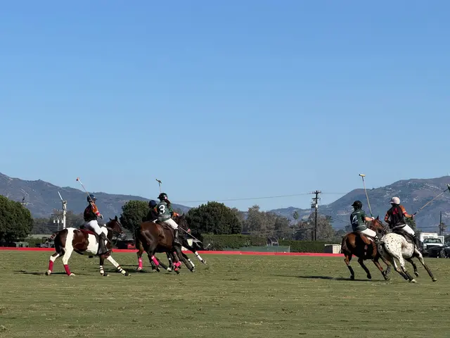 Customer photo of work by Santa Barbara Polo & Racquet Club, from G J's review