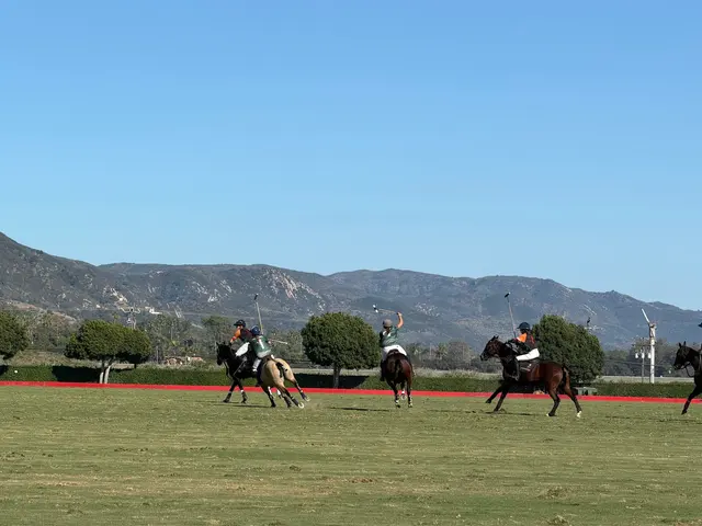 Customer photo of work by Santa Barbara Polo & Racquet Club, from G J's review
