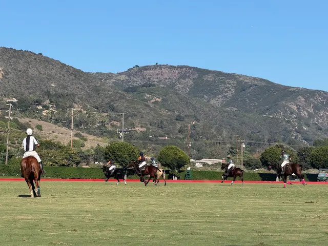 Customer photo of work by Santa Barbara Polo & Racquet Club, from G J's review