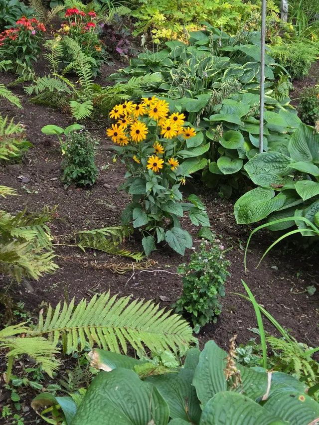 Hunter Springs Landscape Artisans — customer photo 12