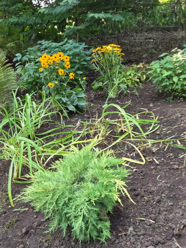 Hunter Springs Landscape Artisans — customer photo 9