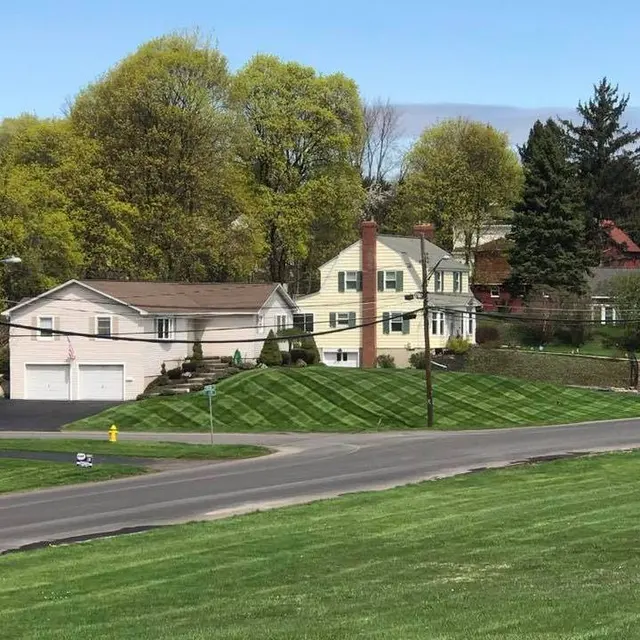 CNY Turf — photo from the business 8