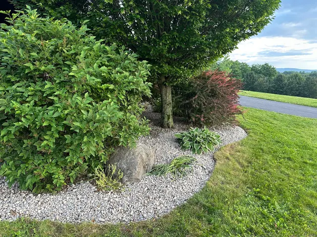 Michael Grimm Landscape & Tree Service — customer photo 11