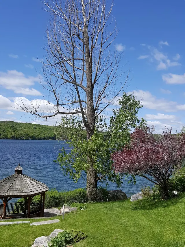 Michael Grimm Landscape & Tree Service — customer photo 9