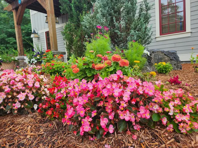 Michael Grimm Landscape & Tree Service — photo from the business 10