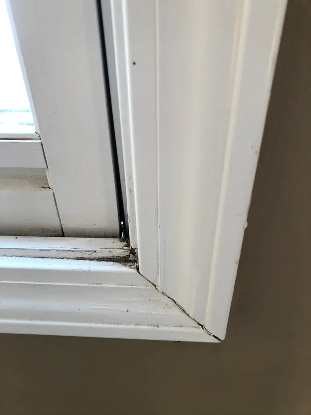 Legacy Home Inspections — customer photo 7
