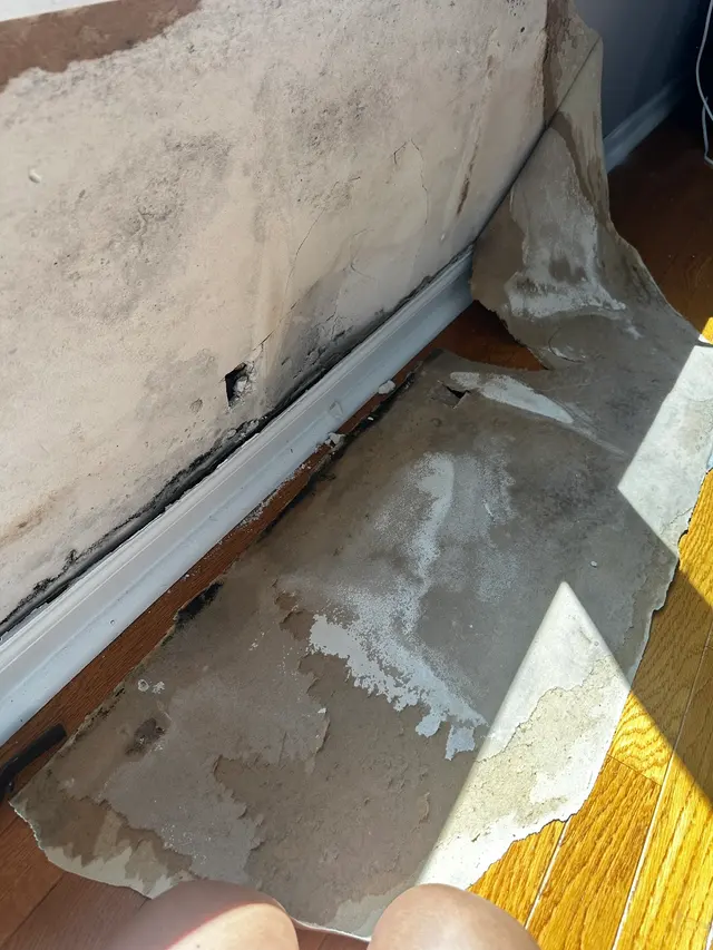 Legacy Home Inspections — customer photo 10