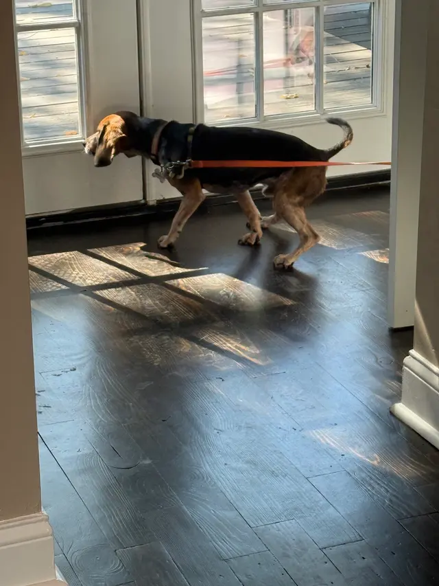 Premier Inspection Services Inc. — customer photo 3