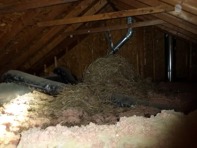 A-Pro Home Inspection Kansas City — photo from the business 5