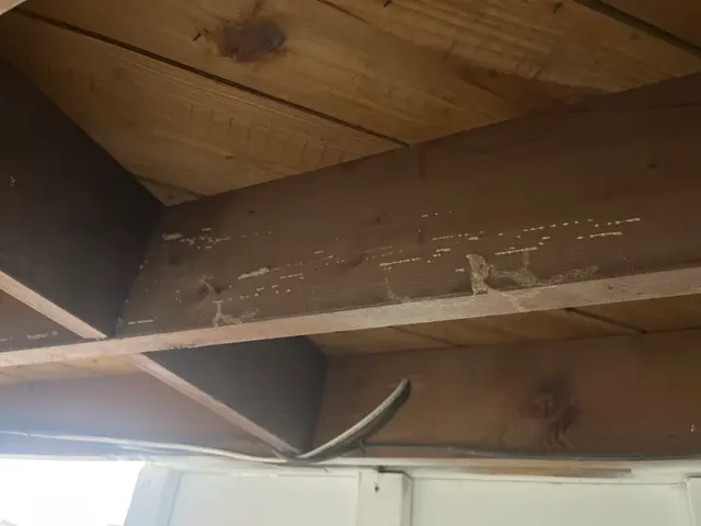 A-Pro Home Inspection Kansas City — customer photo 4