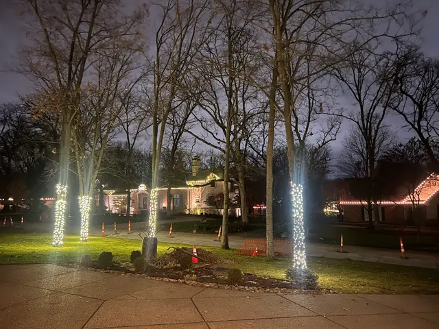 Santa's Elves Holiday Lighting & Decor, LLC — customer photo 9