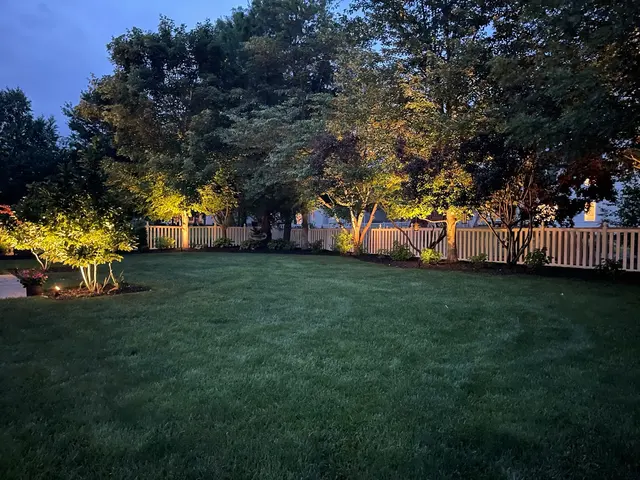 Landscape Lighting Guys — photo from the business 4