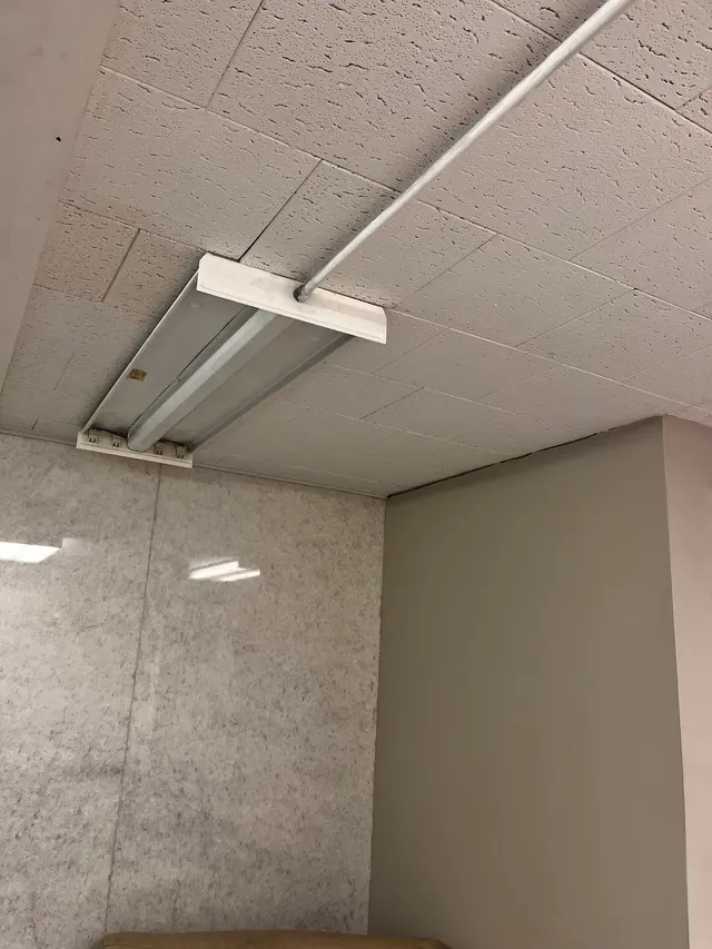 4 Ever Lights LLC — customer photo 10