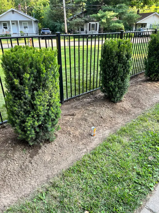 Customer photo from Alexander's review