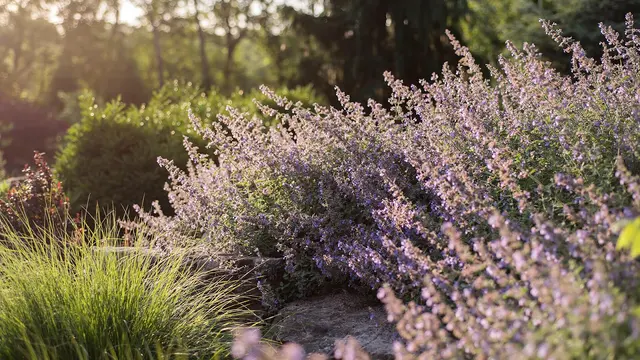 Frisella Landscape Group — photo from the business 9