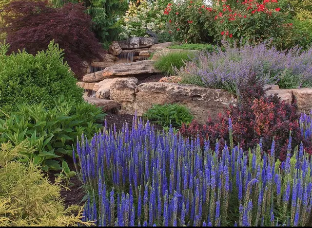 Frisella Landscape Group — photo from the business 5