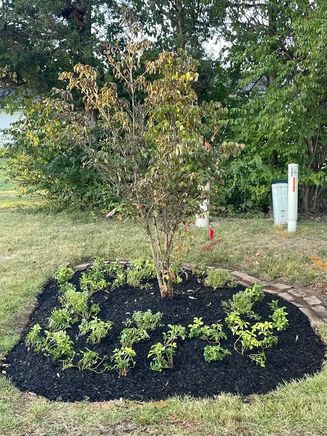 Customer photo from Charles's review