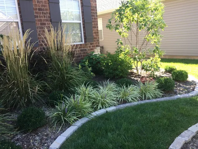 Outdoor Creative Design — photo from the business 6