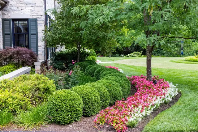 Landscape St. Louis — photo from the business 9