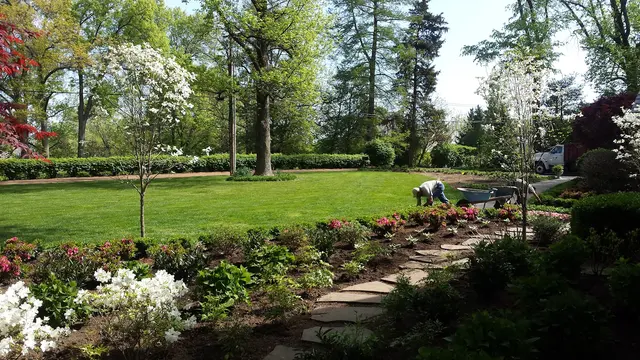 Landscape St. Louis — photo from the business 11