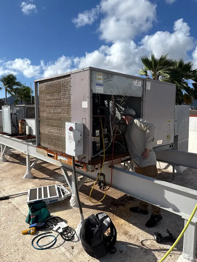 Fuse Hawai'i — customer photo 7