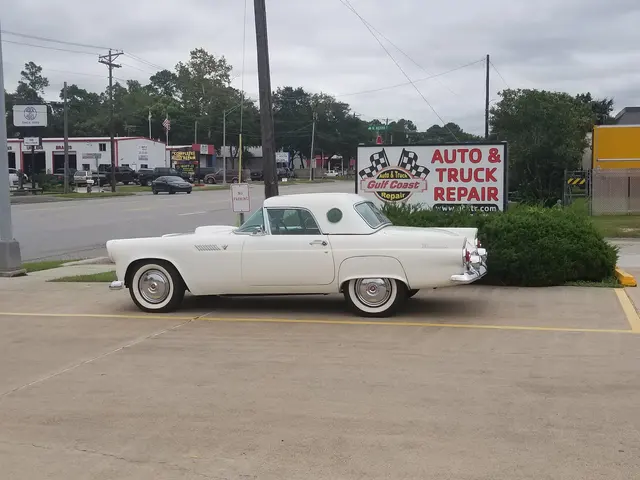 Gulf Coast Auto & Truck Repair — photo from the business 11